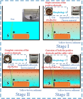 电池防爆片供应商