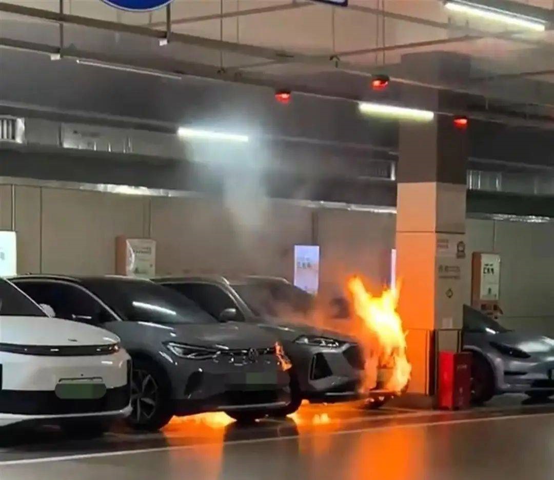 新能源电池防爆片